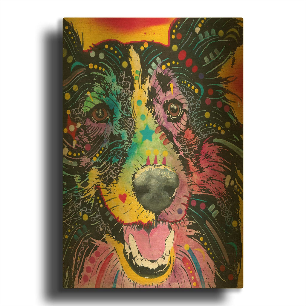 'Smiling Collie' By Dean Russo Gold Metal Wall Art