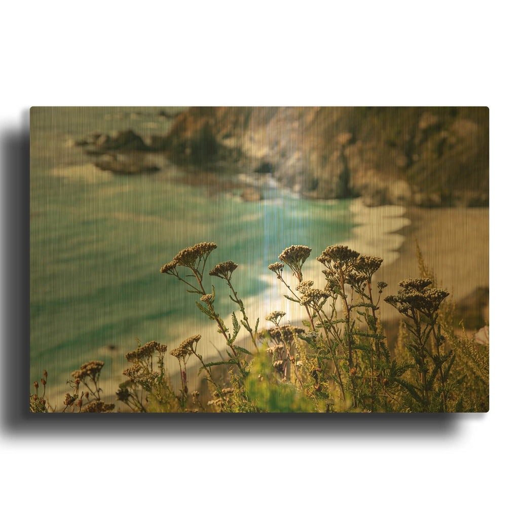 'California - Coast Grass' By AKG Gold Metal Wall Art