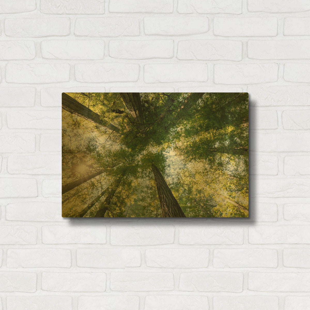'POV' By AKG Gold Metal Wall Art