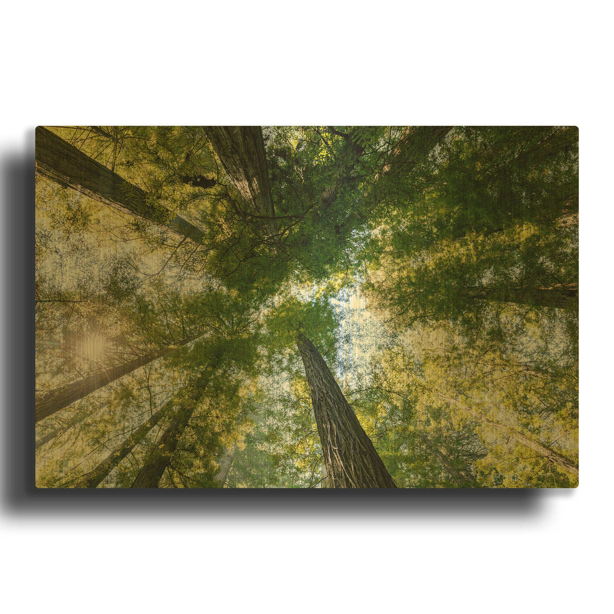 'POV' By AKG Gold Metal Wall Art