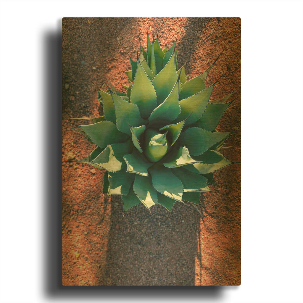 'Utah - Cactus 1' By AKG Gold Metal Wall Art
