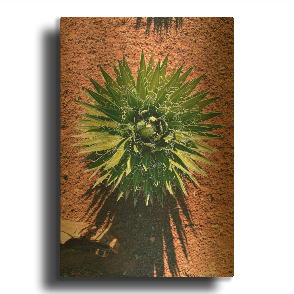 'Utah - Cactus 2' By AKG Gold Metal Wall Art