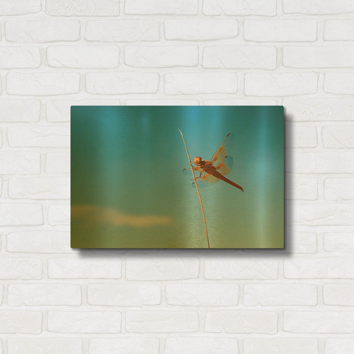 'Utah - Insect' By AKG Gold Metal Wall Art