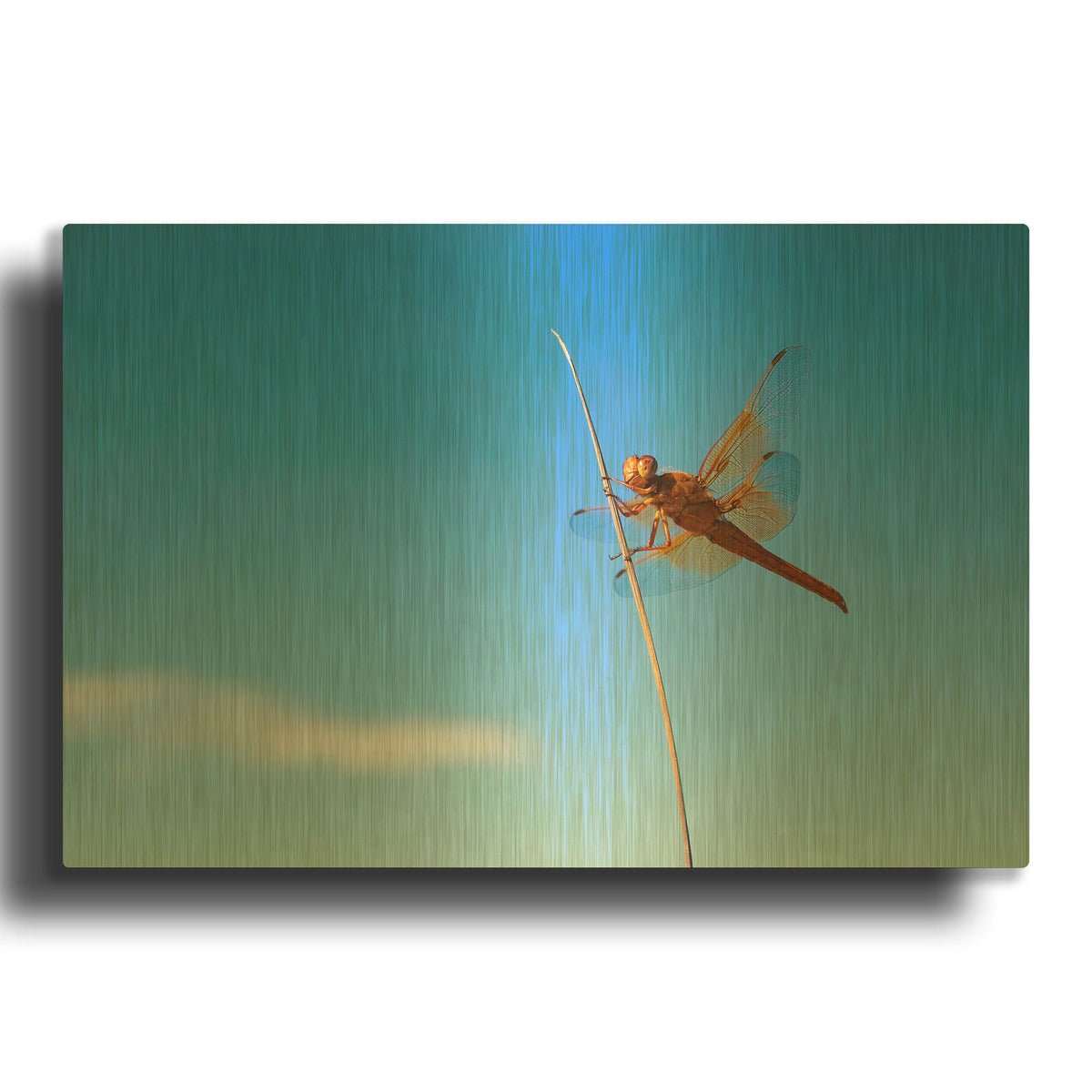 'Utah - Insect' By AKG Gold Metal Wall Art