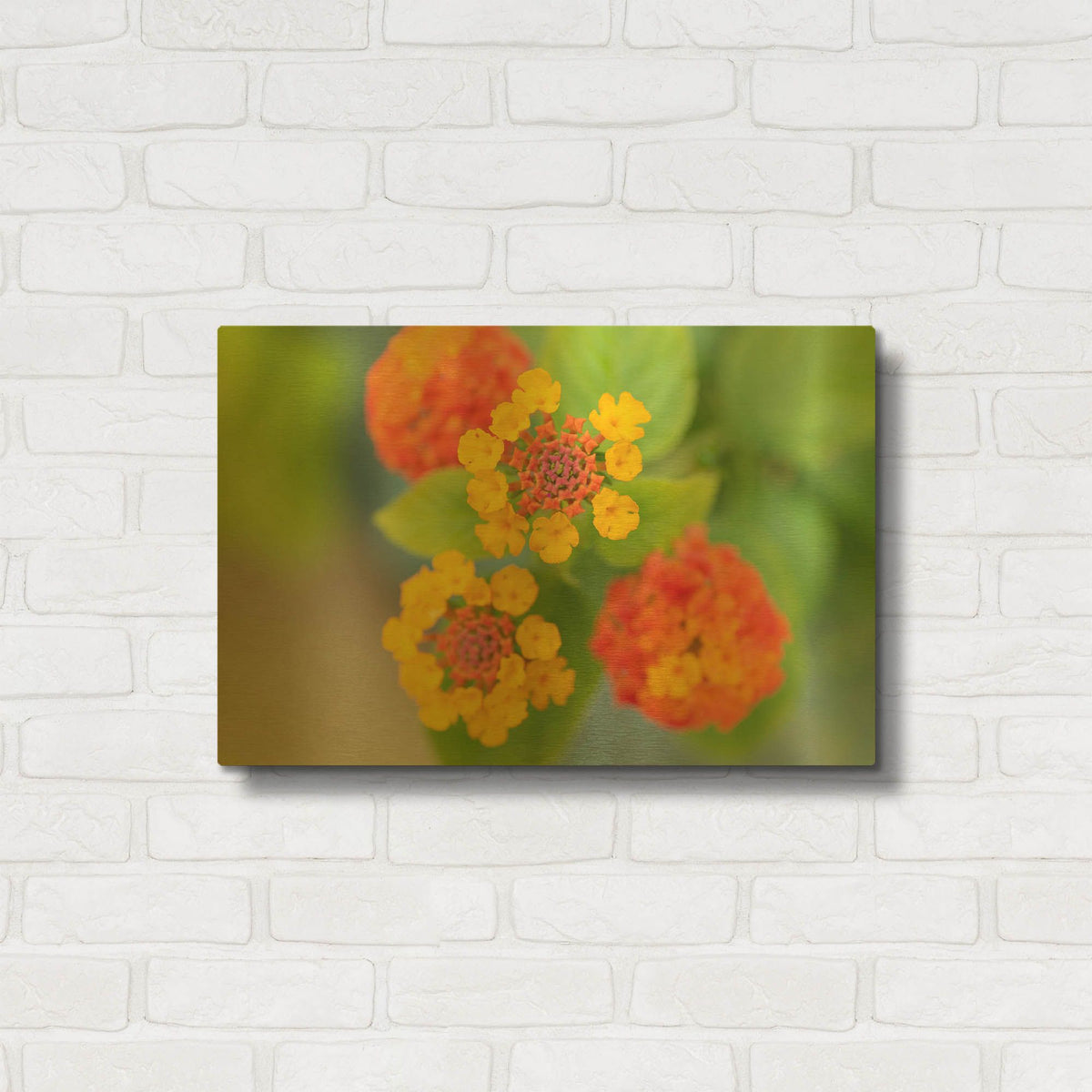 'Flowers' By AKG Gold Metal Wall Art