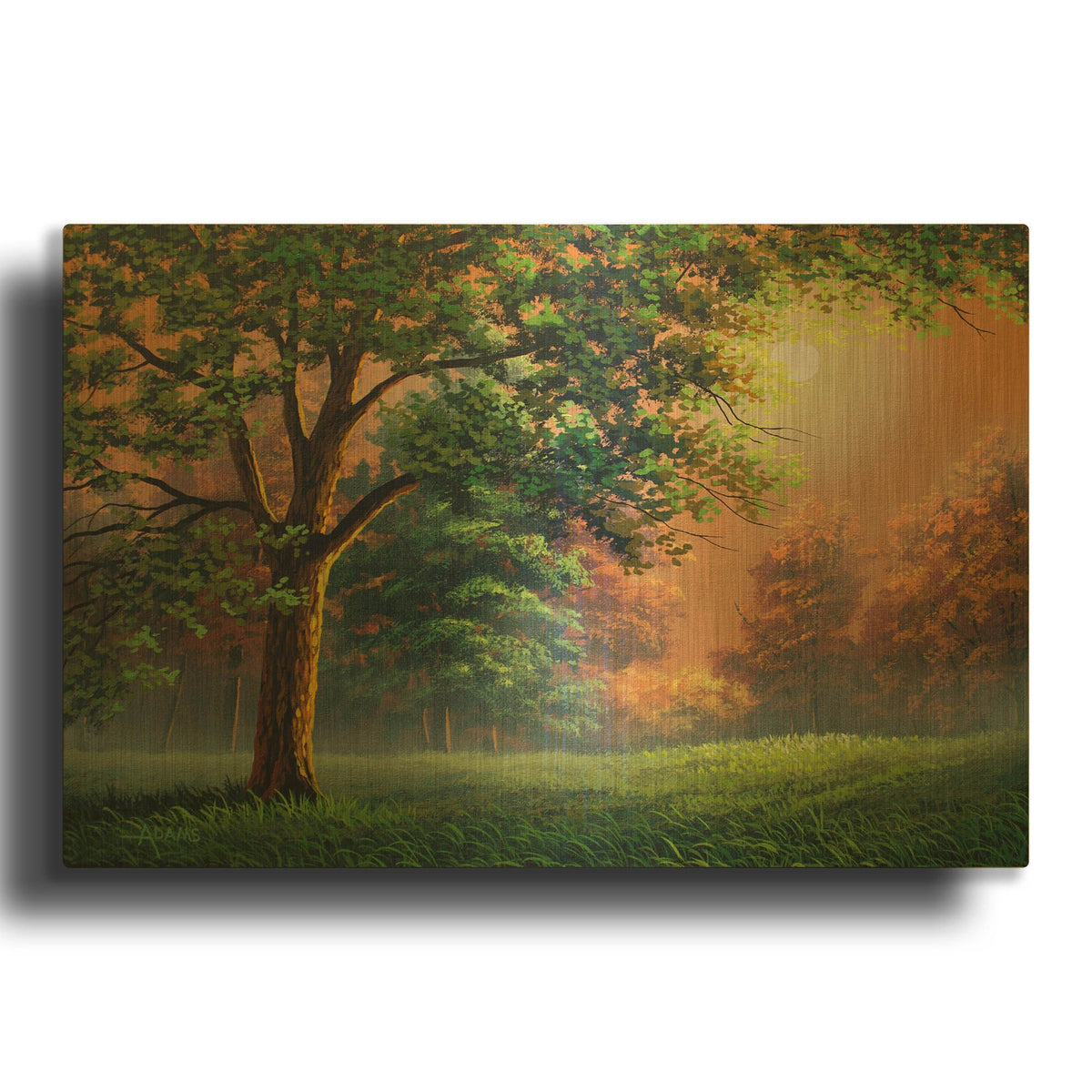'Evening Radiance' By Gary Adams Gold Metal Wall Art