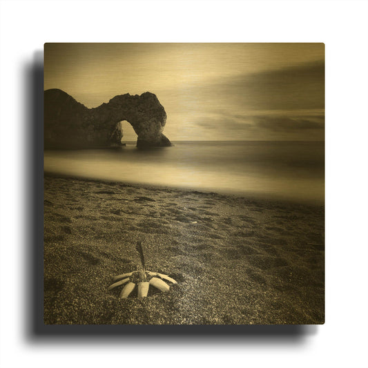'Durdle Feather' By Nina Papiorek Gold Metal Wall Art