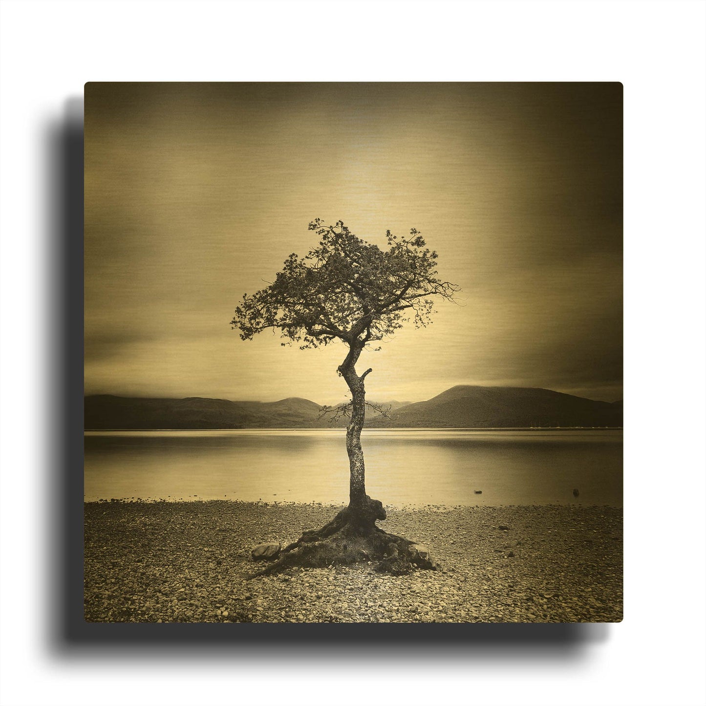 'Millarrochy Tree' By Nina Papiorek Gold Metal Wall Art