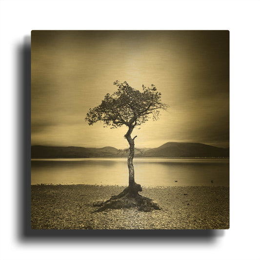 'Millarrochy Tree' By Nina Papiorek Gold Metal Wall Art