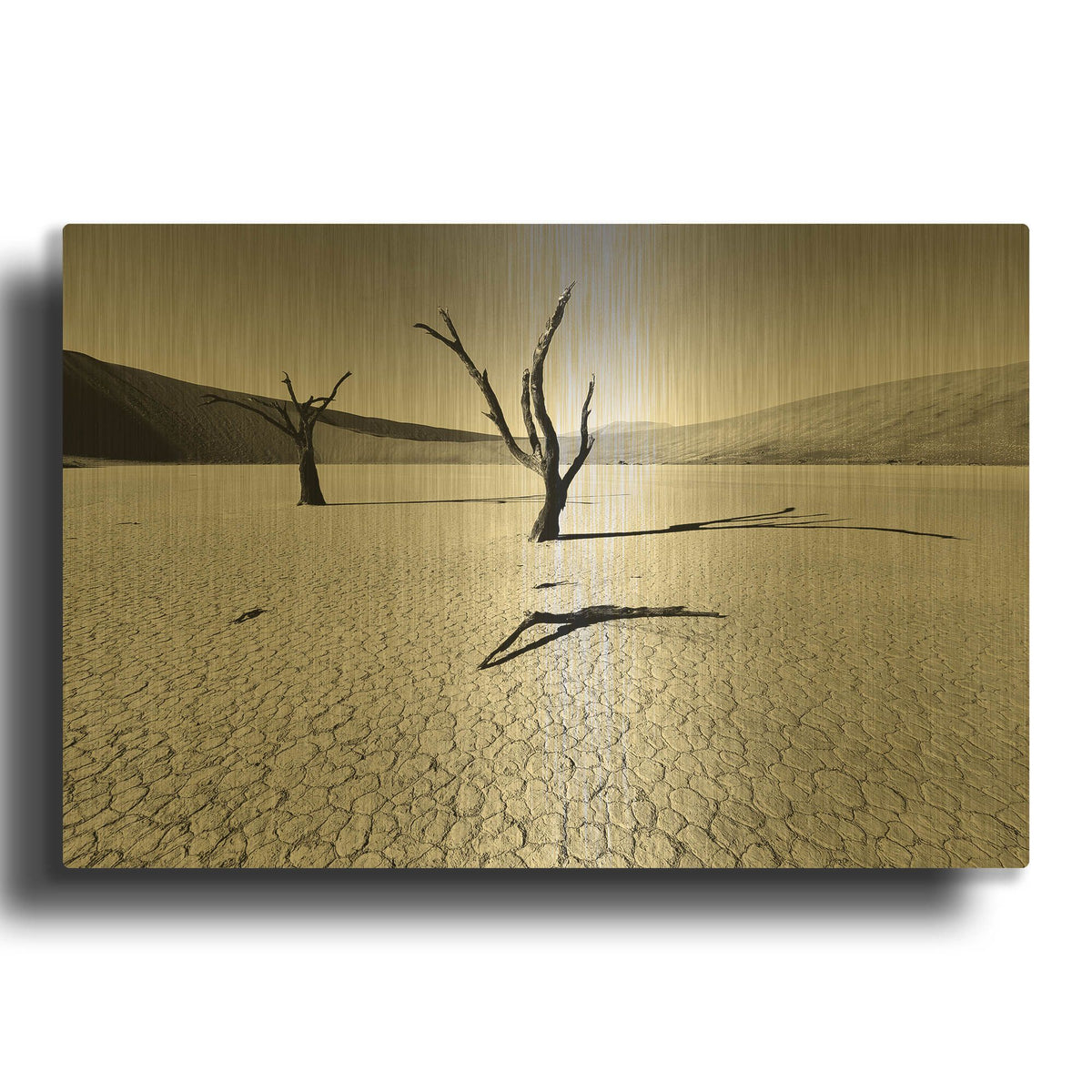 'Namibia Dead Vlei' By Nina Papiorek Gold Metal Wall Art
