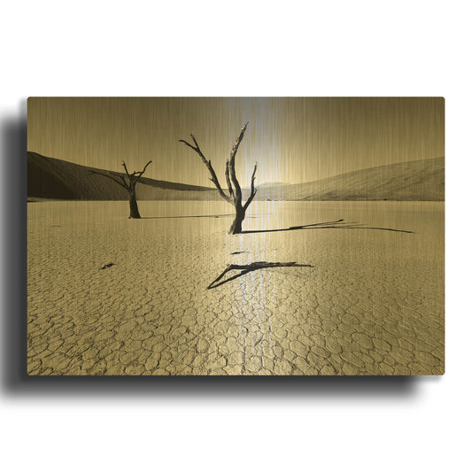 'Namibia Dead Vlei' By Nina Papiorek Gold Metal Wall Art