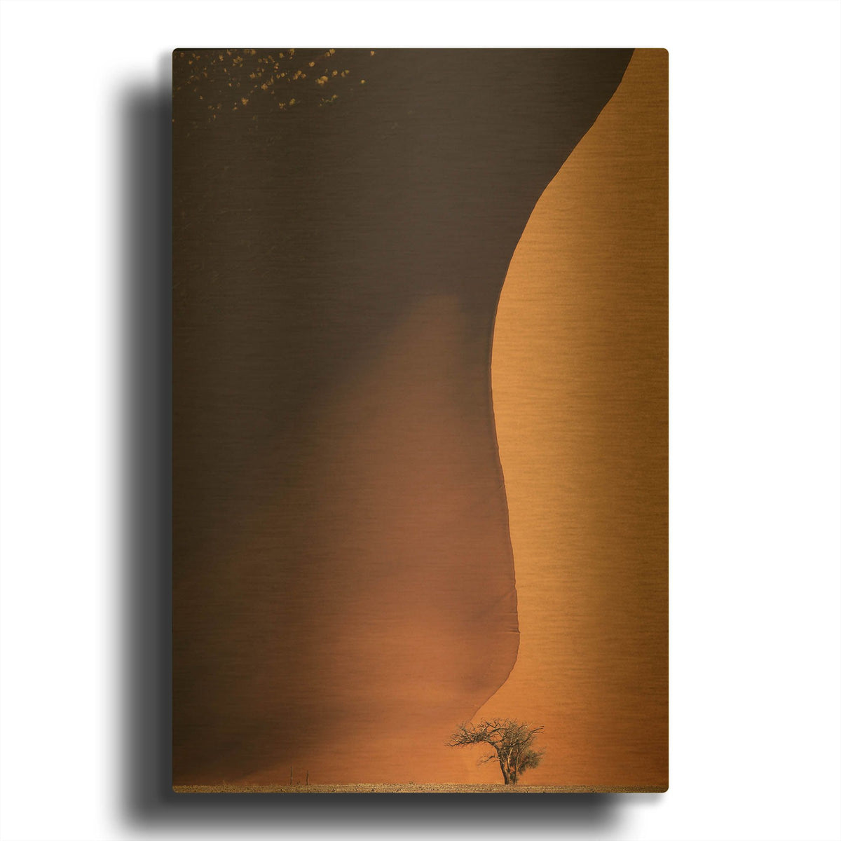 'Namibia The Dune' By Nina Papiorek Gold Metal Wall Art