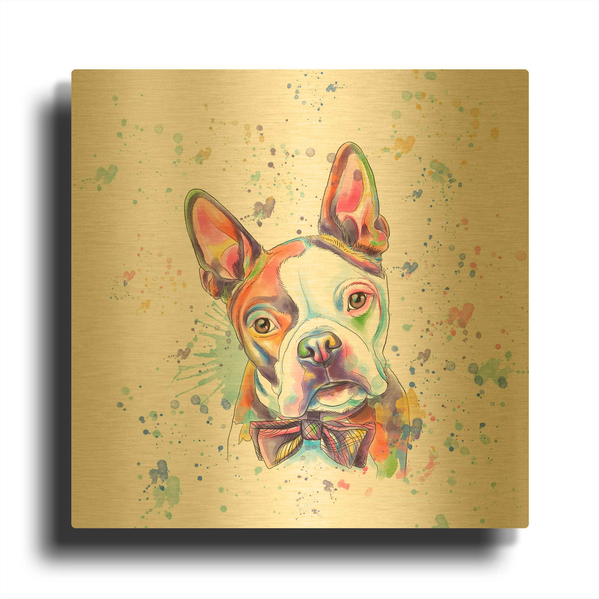 'Colorful Watercolor Boston Terrier' By Furbaby Affiliates Gold Metal Wall Art