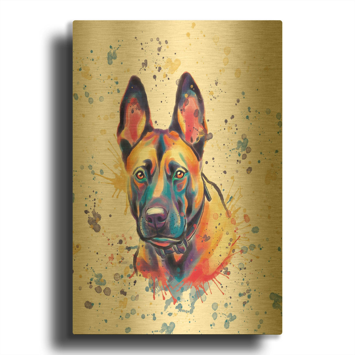'Colorful Watercolor Belgian Malinois' By Furbaby Affiliates Gold Metal Wall Art