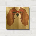 'Cavalier King Charles Spaniel Wearing Hipster Glasses' By Furbaby Affiliates Gold Metal Wall Art