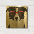 'Border Collie Wearing Hipster Glasses' By Furbaby Affiliates Gold Metal Wall Art