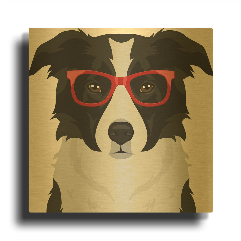 'Border Collie Wearing Hipster Glasses' By Furbaby Affiliates Gold Metal Wall Art