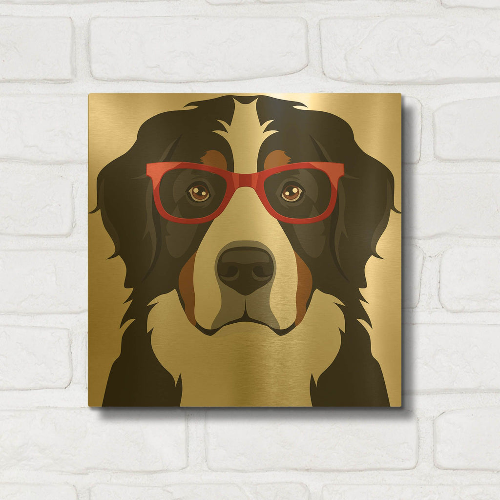 'Bernese Mountain Dog Wearing Hipster Glasses' By Furbaby Affiliates Gold Metal Wall Art