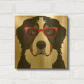 'Bernese Mountain Dog Wearing Hipster Glasses' By Furbaby Affiliates Gold Metal Wall Art