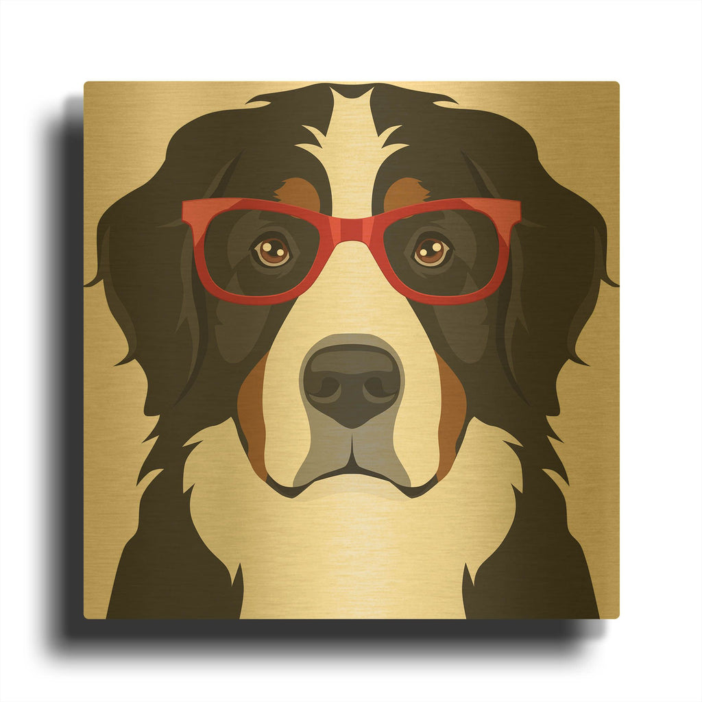 'Bernese Mountain Dog Wearing Hipster Glasses' By Furbaby Affiliates Gold Metal Wall Art