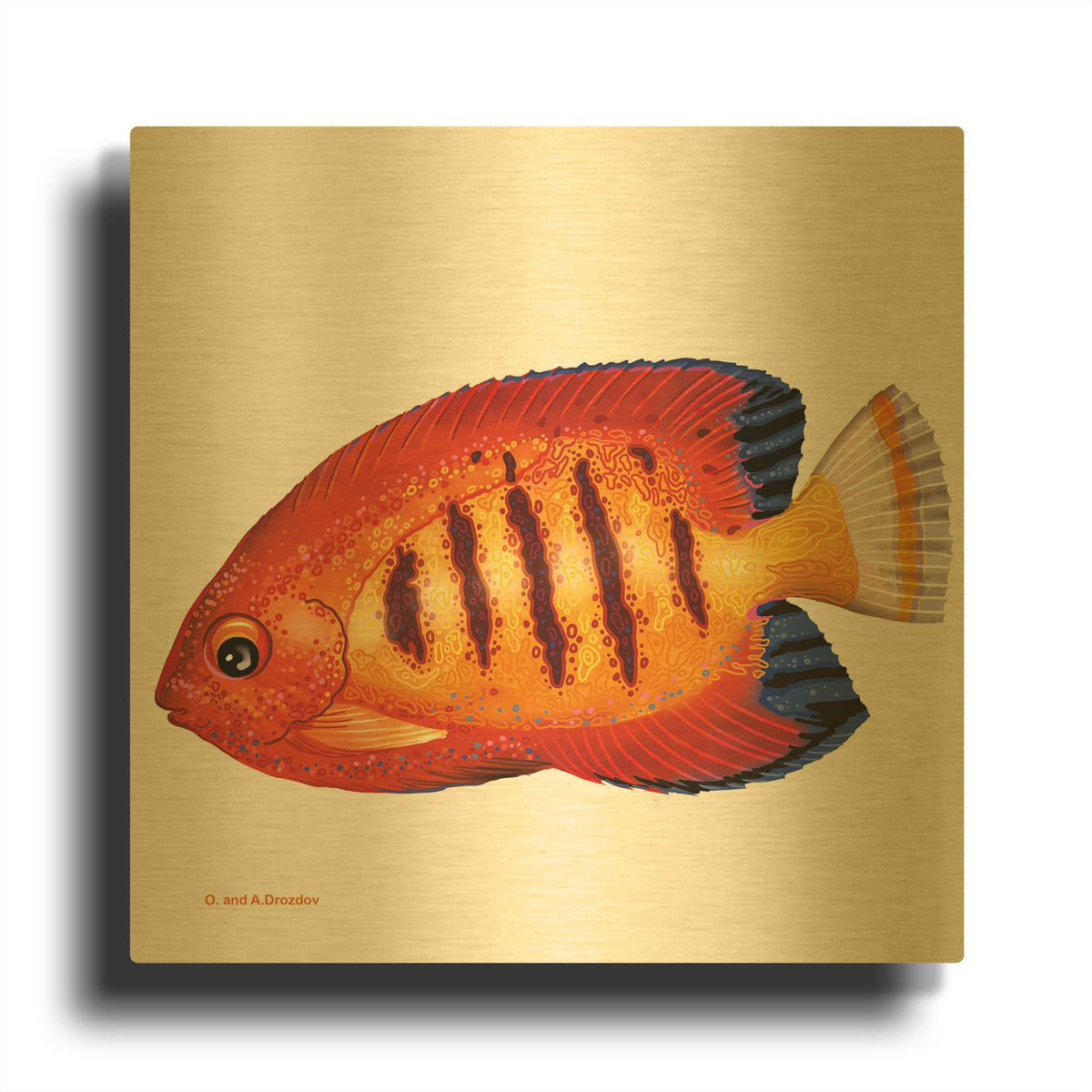 'Fish 2 Red Yellow' By Olga and Alexey Drozdov Gold Metal Wall Art