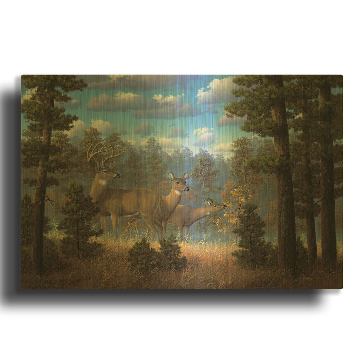 'White Tail Family' By R. Hed Gold Metal Wall Art