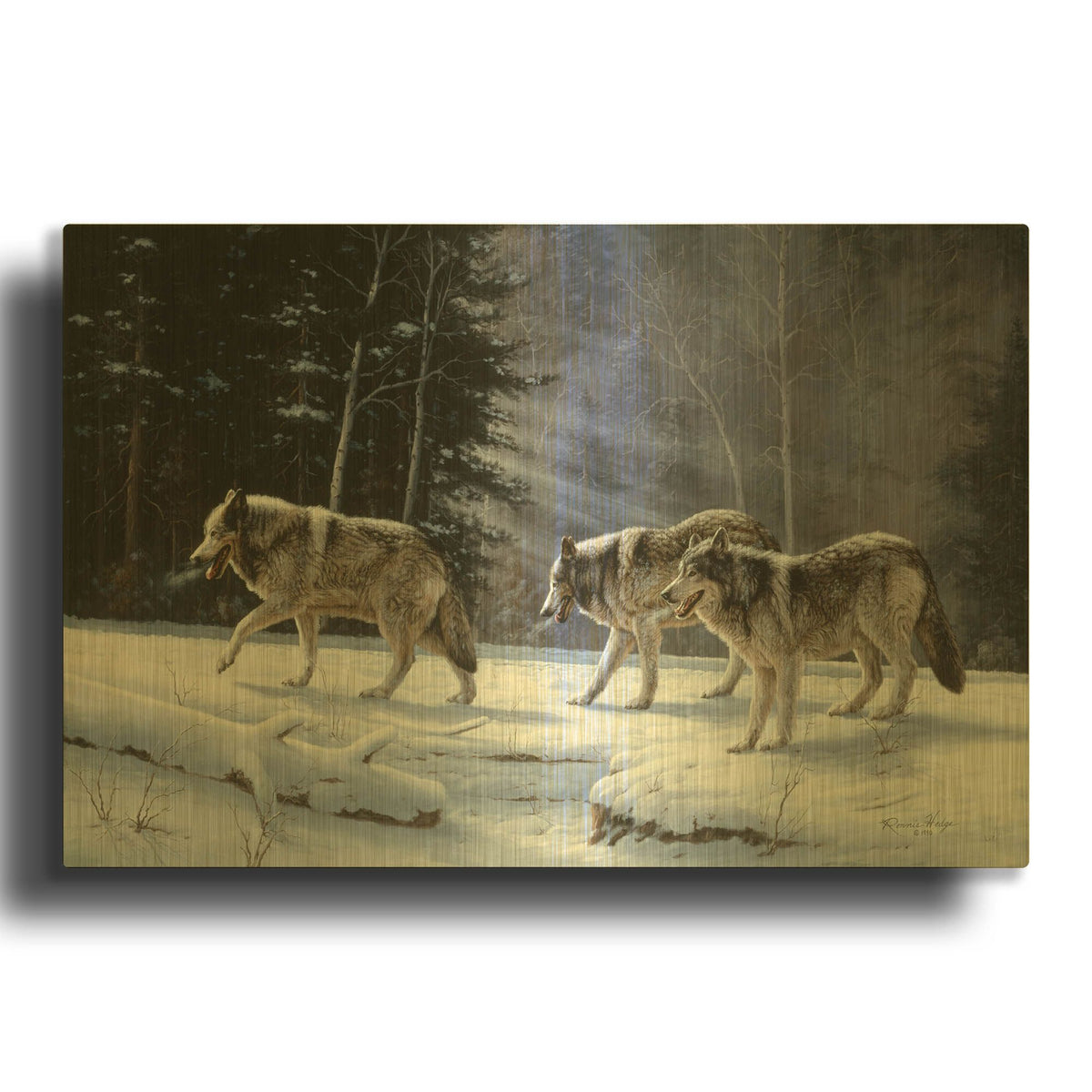 'Six Pack Minus Three' By R. Hed Gold Metal Wall Art