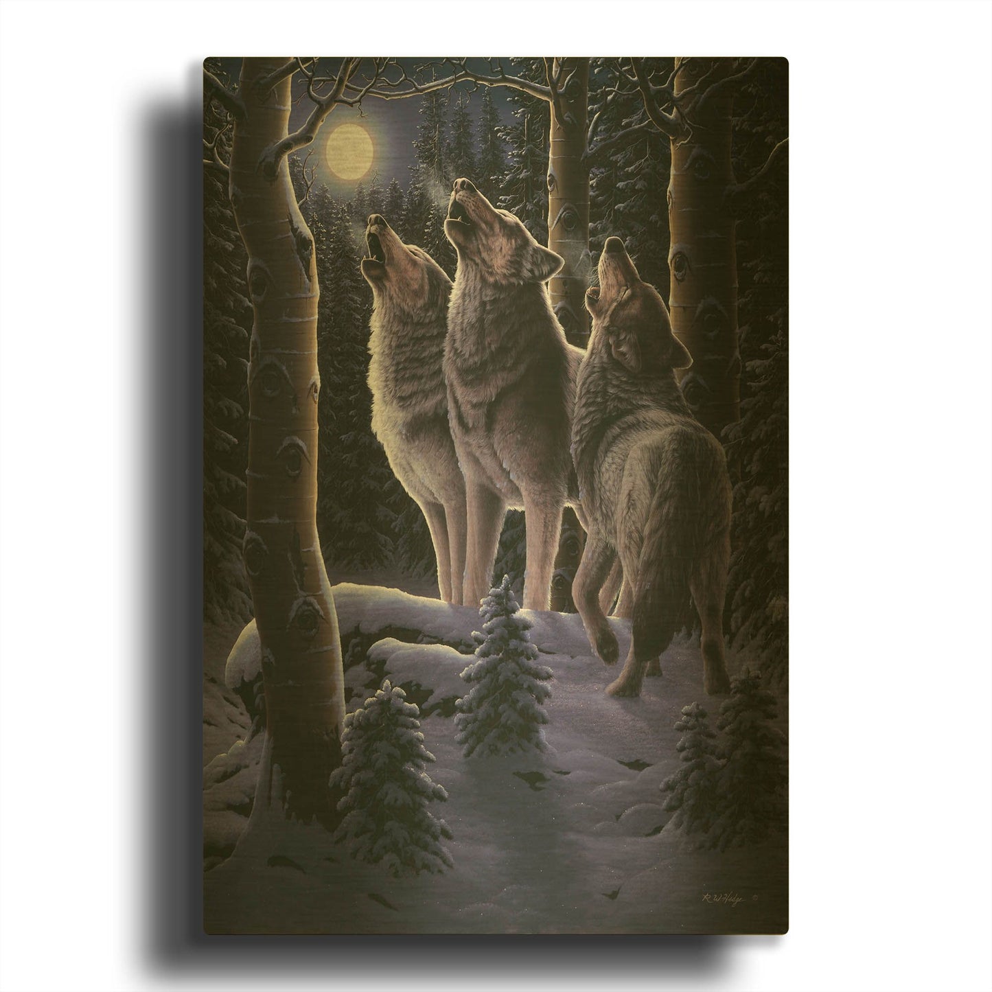 'Midnight Clear' By R. Hed Gold Metal Wall Art