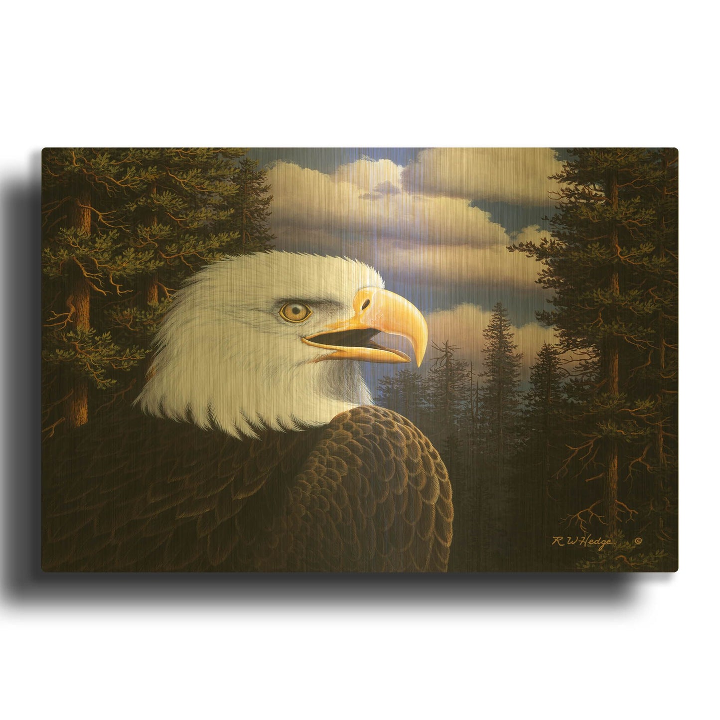'Proud & Free' By R. Hed Gold Metal Wall Art