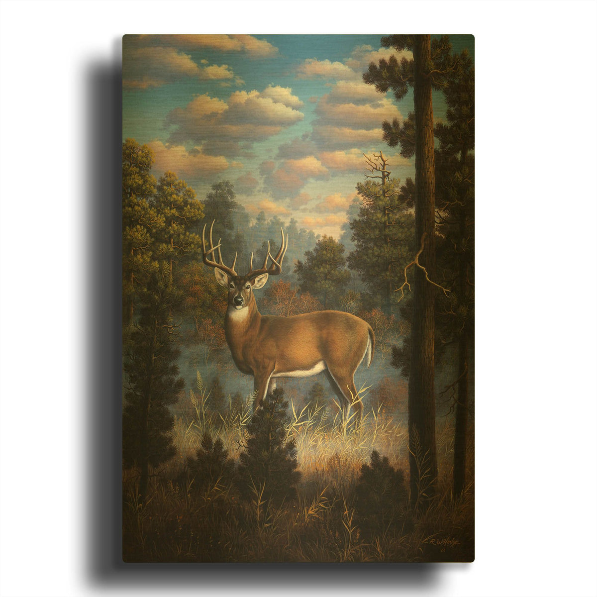 'Morning Light' By R. Hed Gold Metal Wall Art