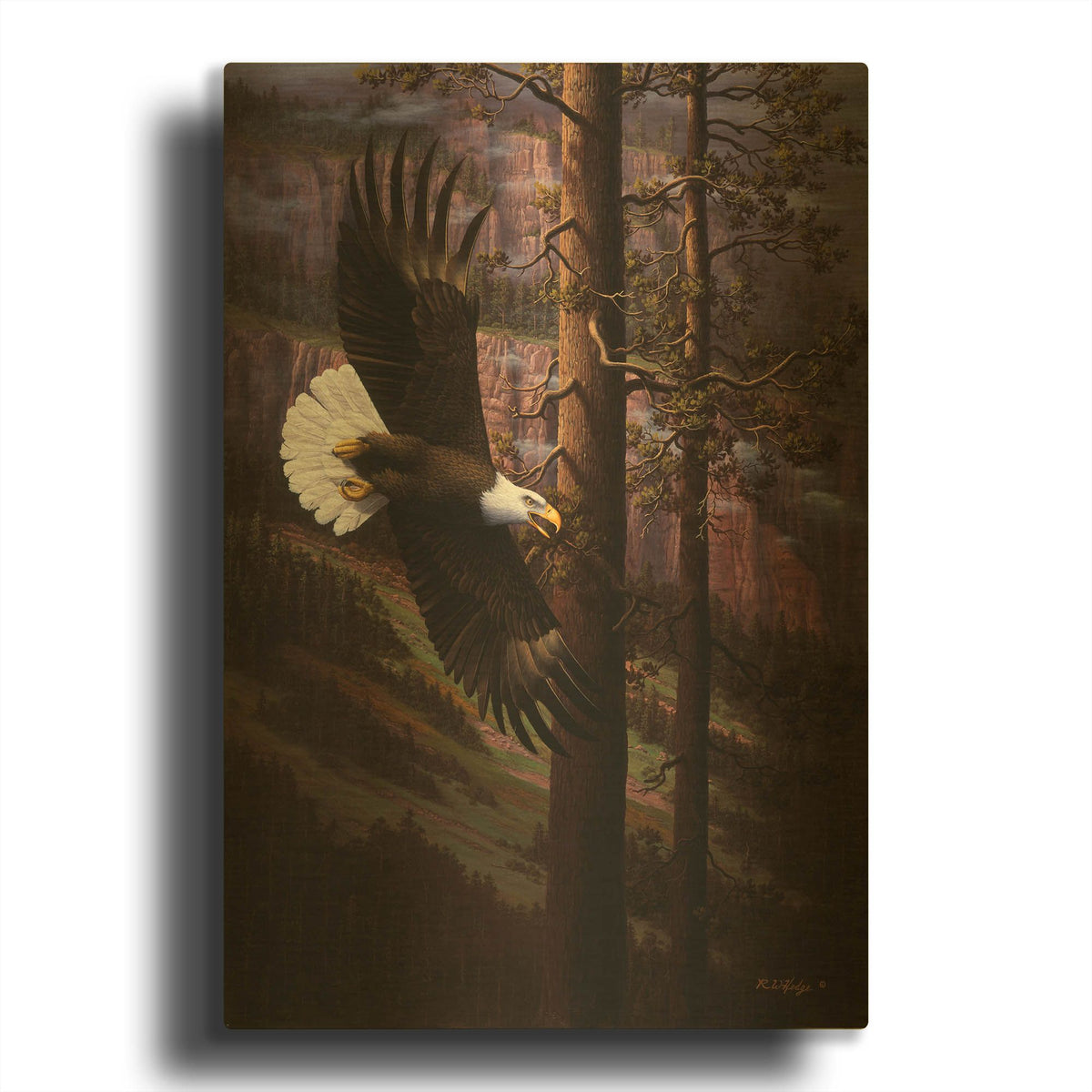 'The Master Of Freedom' By R. Hed Gold Metal Wall Art