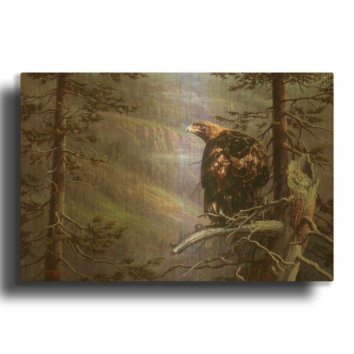 'Private Eye' By R. Hed Gold Metal Wall Art