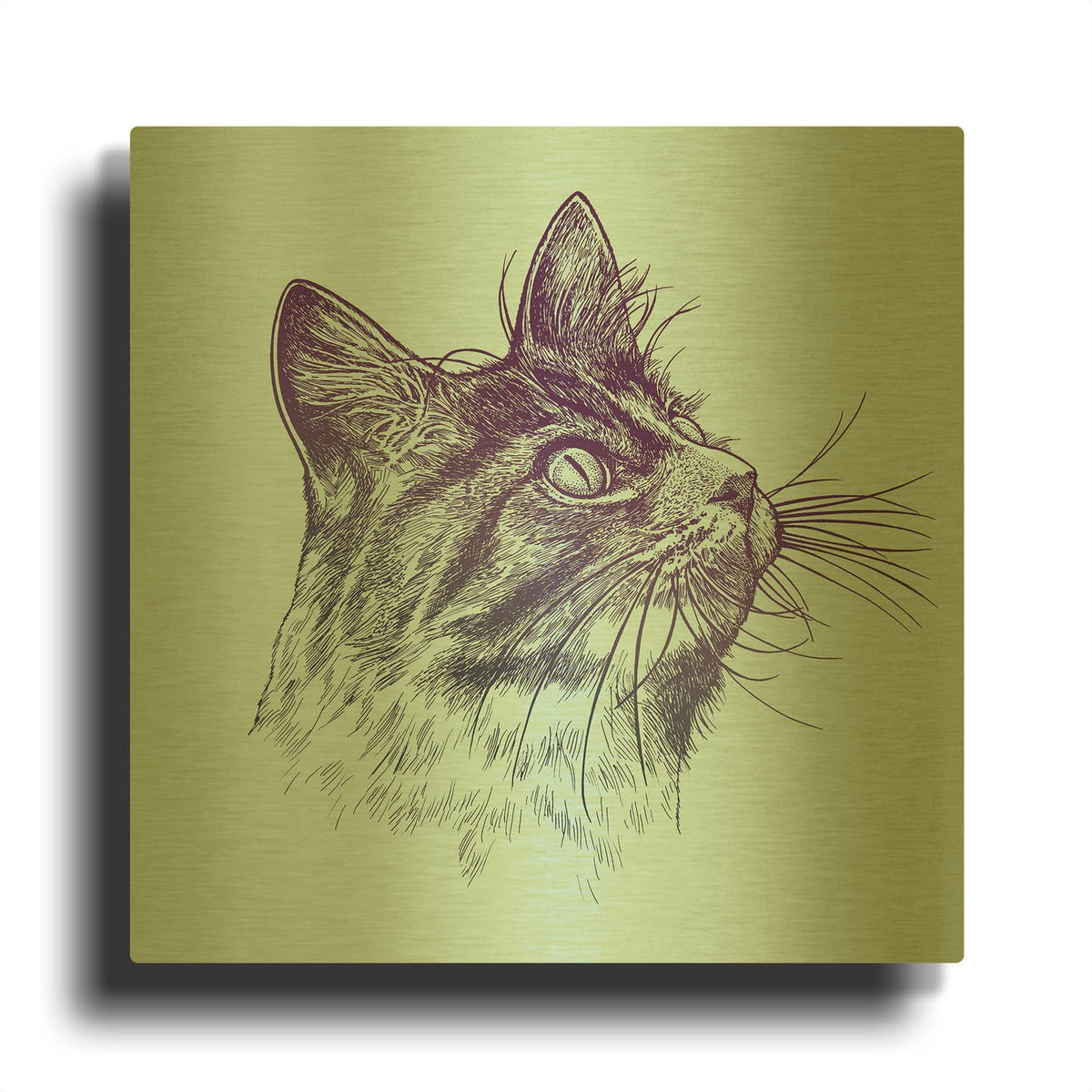 'Cat Looking Up' By Rachel Caldwell Gold Metal Wall Art