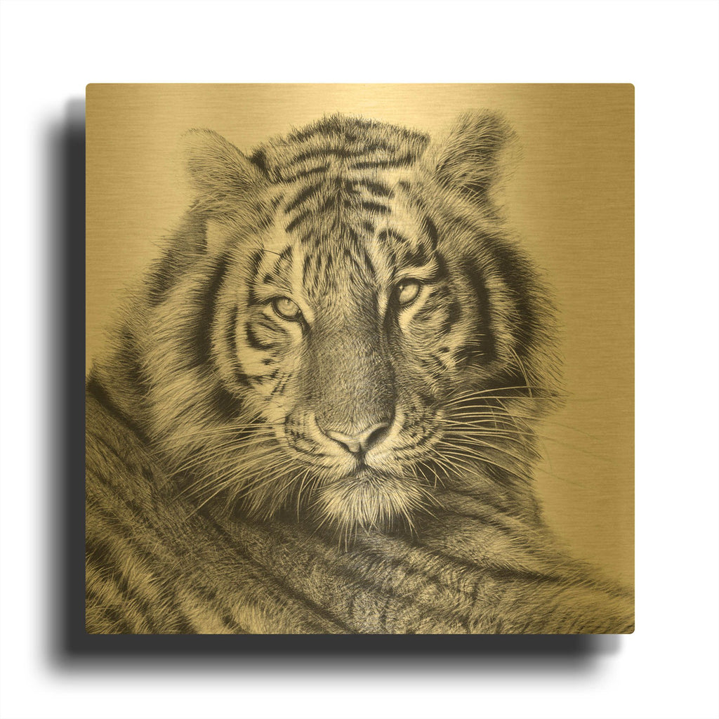 'Sameer' By Sam Dolman Gold Metal Wall Art
