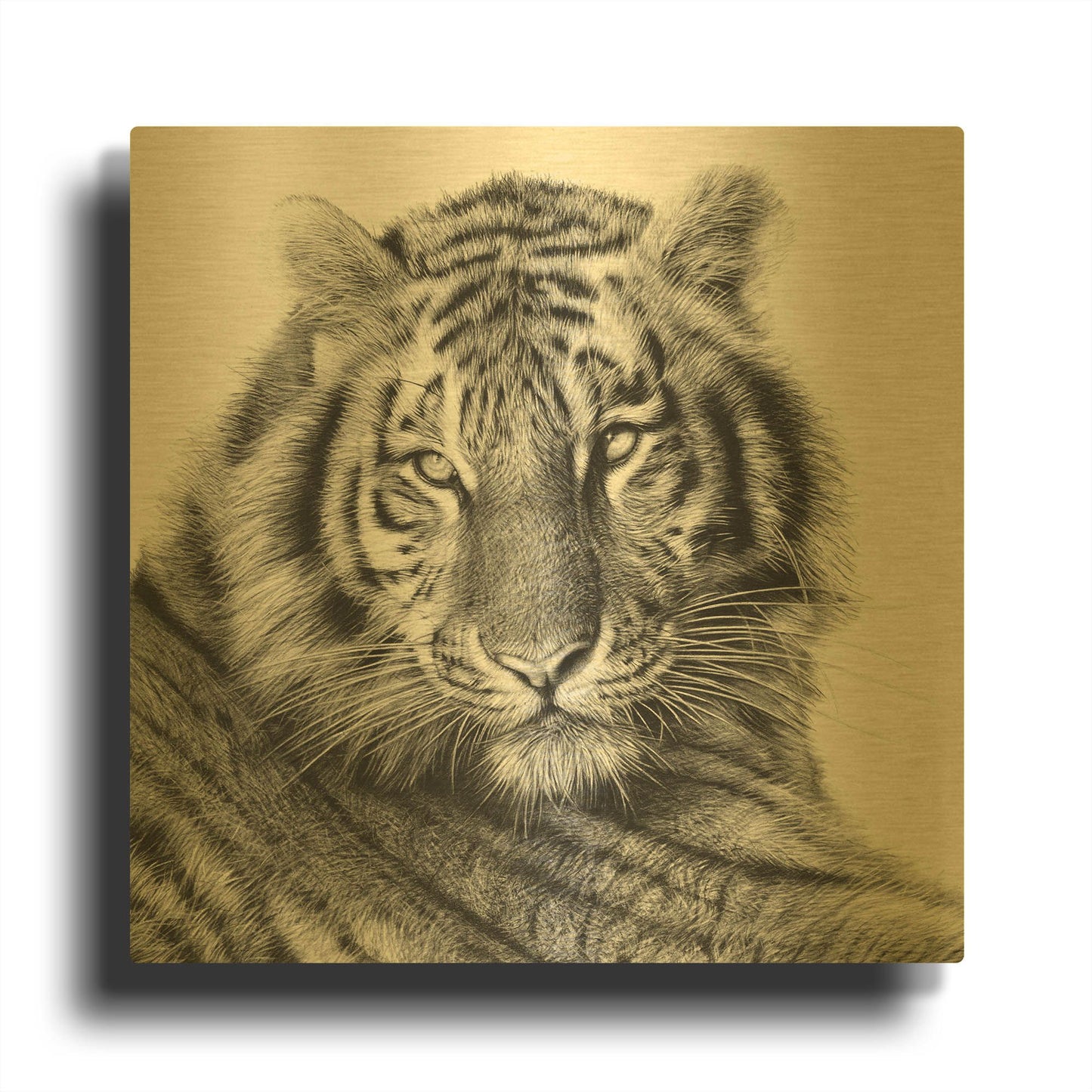 'Sameer' By Sam Dolman Gold Metal Wall Art