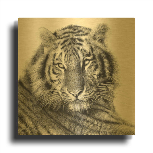 'Sameer' By Sam Dolman Gold Metal Wall Art