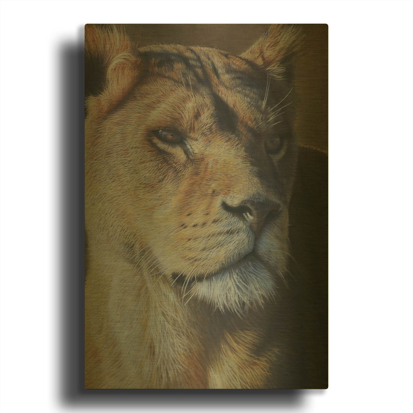 'Nia' By Sam Dolman Gold Metal Wall Art