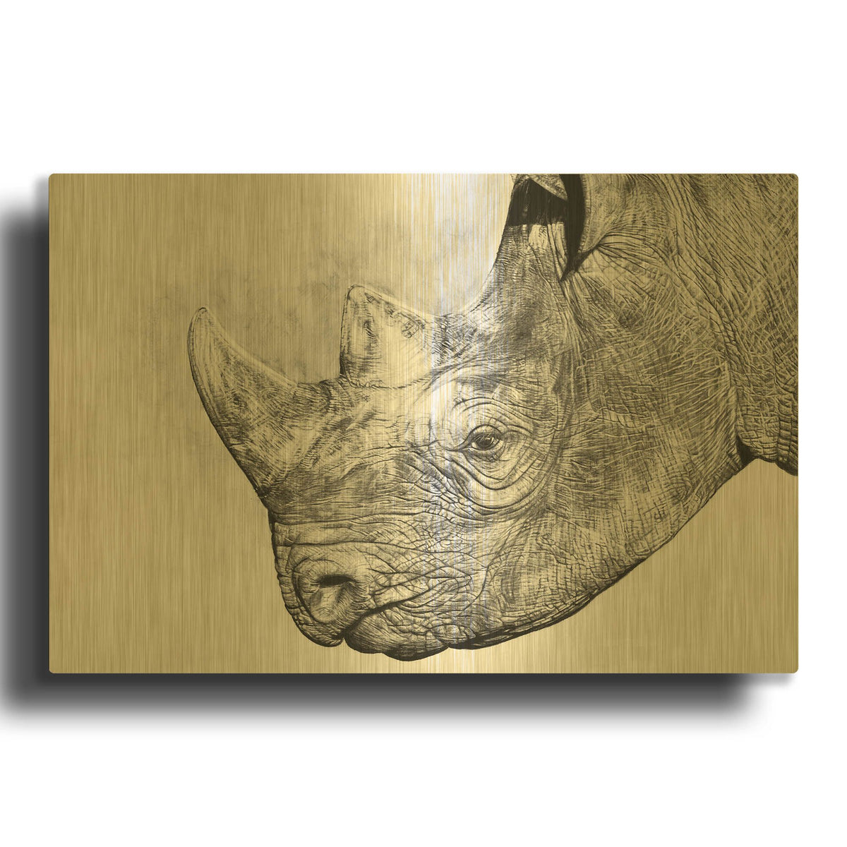 'Clara' By Sam Dolman Gold Metal Wall Art