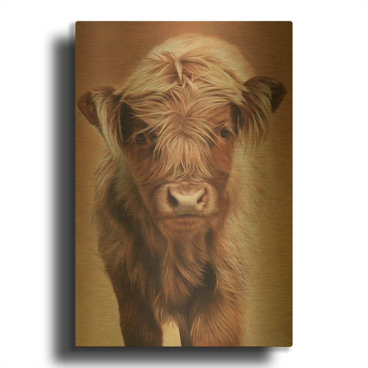 'Angus' By Sam Dolman Gold Metal Wall Art