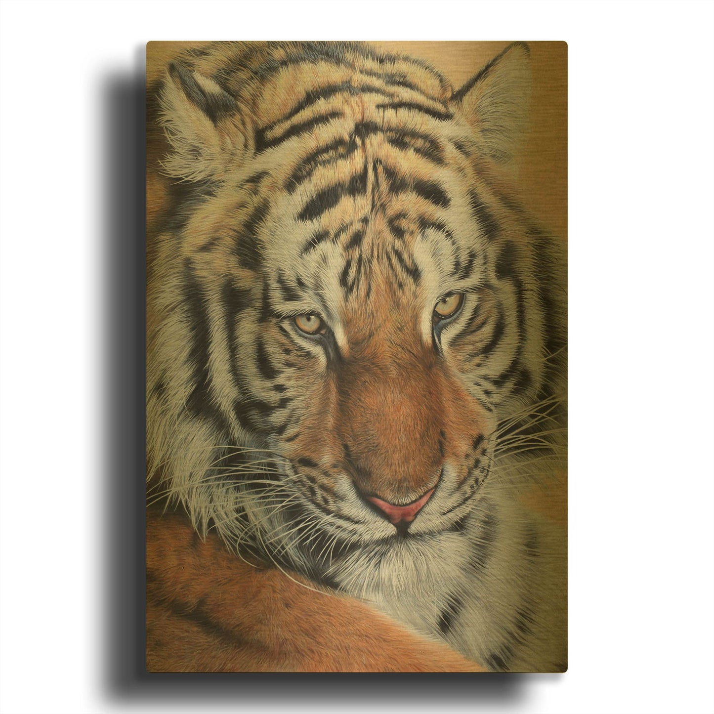 'Alexei' By Sam Dolman Gold Metal Wall Art