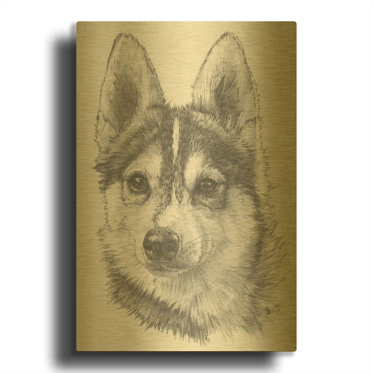 'Alaskan Klee Kai' By Barbara Keith Gold Metal Wall Art