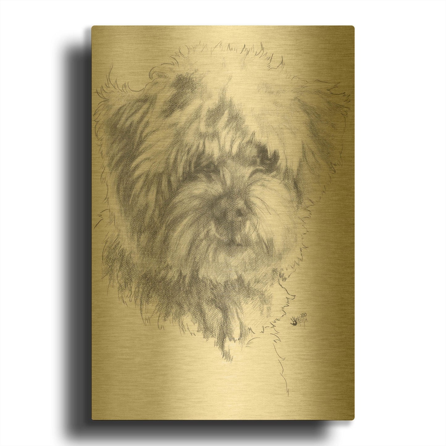 'Maltipoo' By Barbara Keith Gold Metal Wall Art