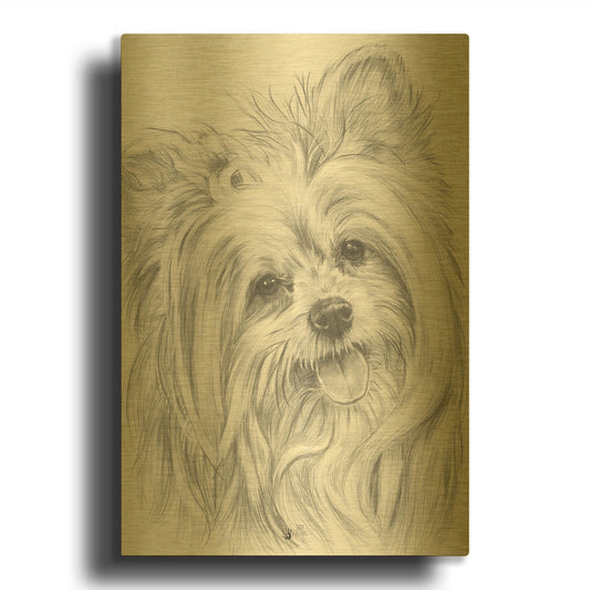 'Shi-Chi' By Barbara Keith Gold Metal Wall Art