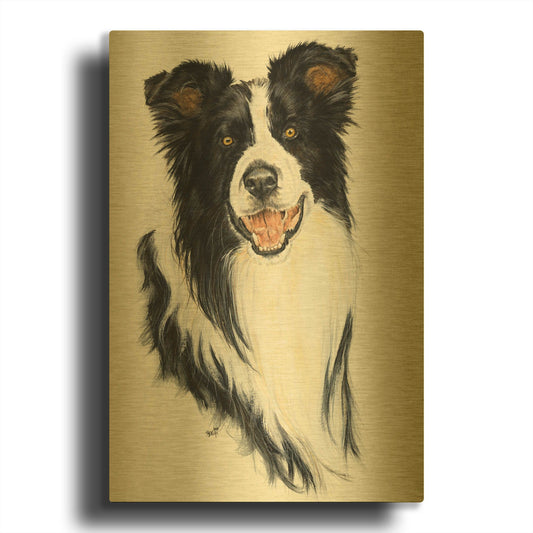 'Border Collie' By Barbara Keith Gold Metal Wall Art