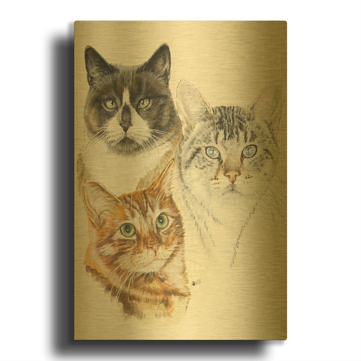 'American Shorthair 2' By Barbara Keith Gold Metal Wall Art