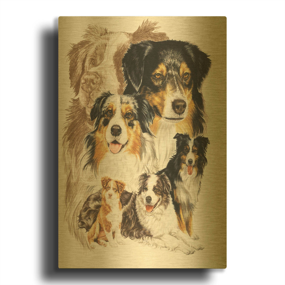 'Australian Shepherds' By Barbara Keith Gold Metal Wall Art