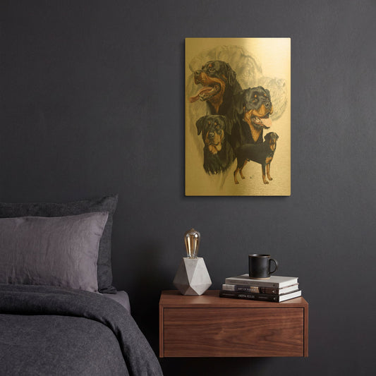 'Rottweiler' By Barbara Keith Gold Metal Wall Art