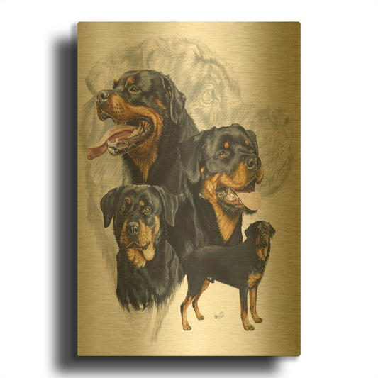 'Rottweiler' By Barbara Keith Gold Metal Wall Art