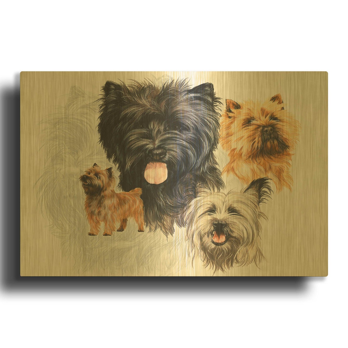 'Cairn Terrier' By Barbara Keith Gold Metal Wall Art