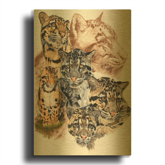 'Clouded Leopard with Ghost Image' By Barbara Keith Gold Metal Wall Art
